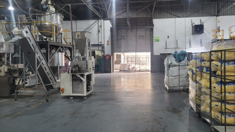To Let commercial Property for Rent in Epping Industrial Western Cape